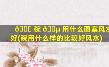 🐞 碗 🌵 用什么图案风水好(碗用什么样的比较好风水)